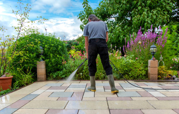 Best Animal Enclosure Cleaning  in Rmichael, CA
